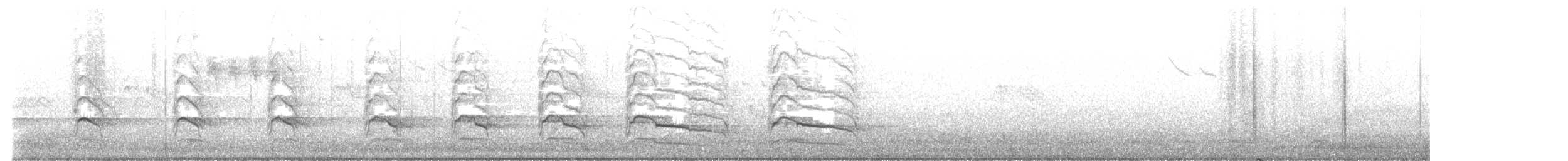 カタアカノスリ（elegans） - ML631923509