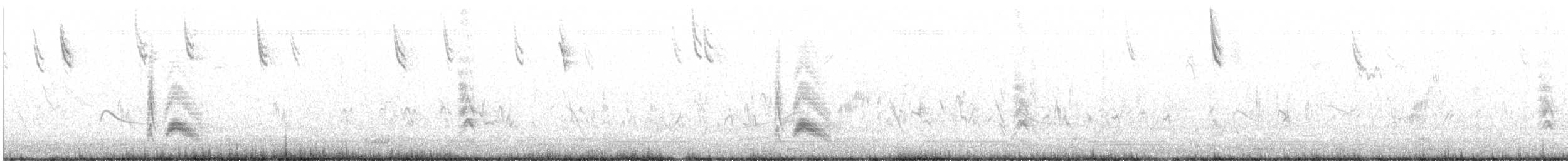 Cassin's Kingbird - ML631925731