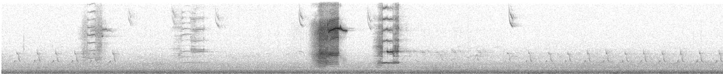 Common Grackle (Florida/Purple) - ML631926586