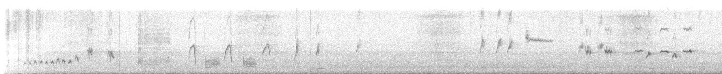 American Dipper - ML631934054