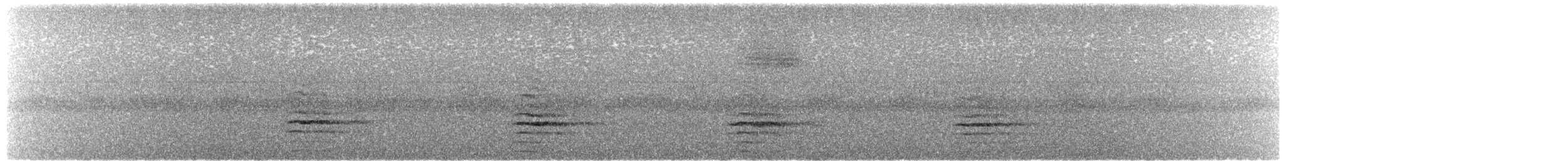 Dusky Moorhen - ML631934912