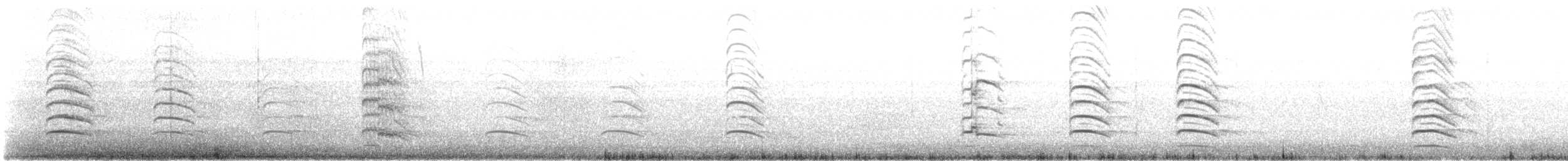 Andean Gull - ML631934915