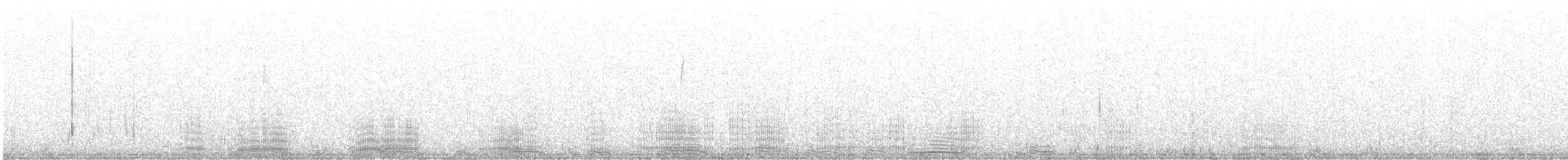 American White Pelican - ML631936959