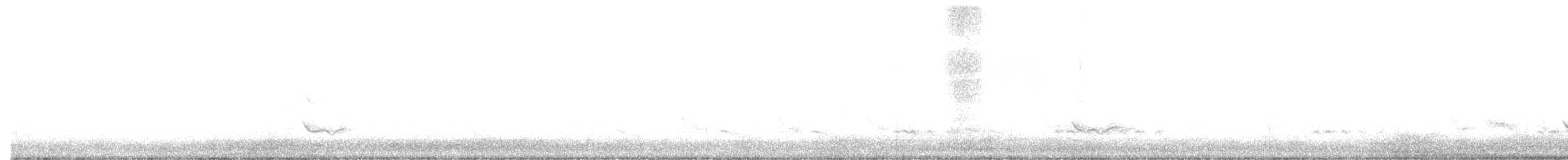 Eastern Bluebird - ML631940633