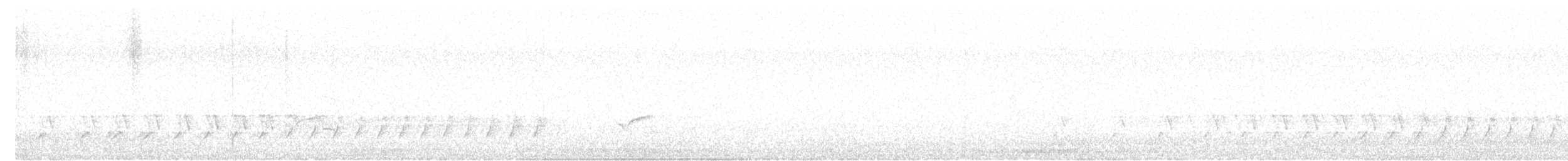 Pacific Golden-Plover - ML631943671