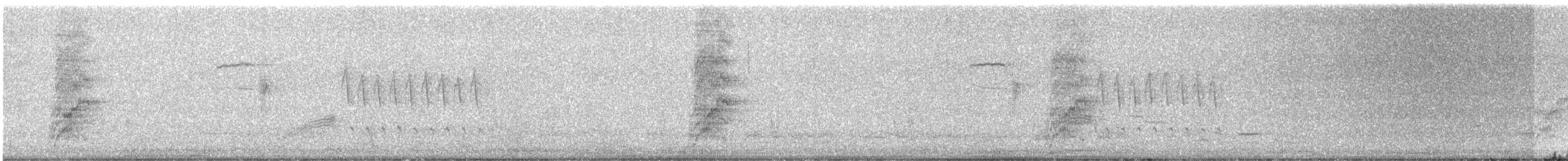 Chara Californiana - ML631946548