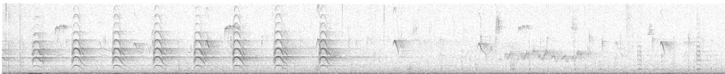 カタアカノスリ（elegans） - ML631946723
