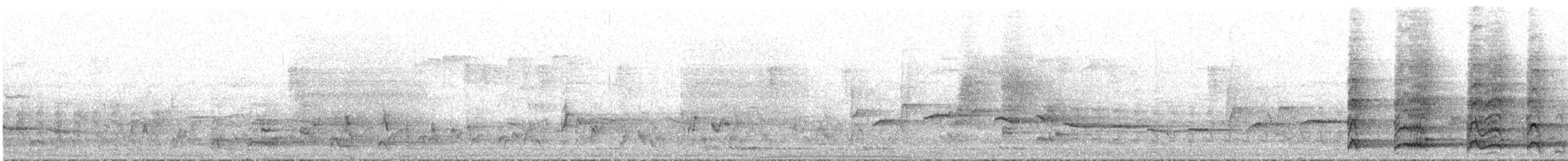 Gray Junglefowl - ML631948336