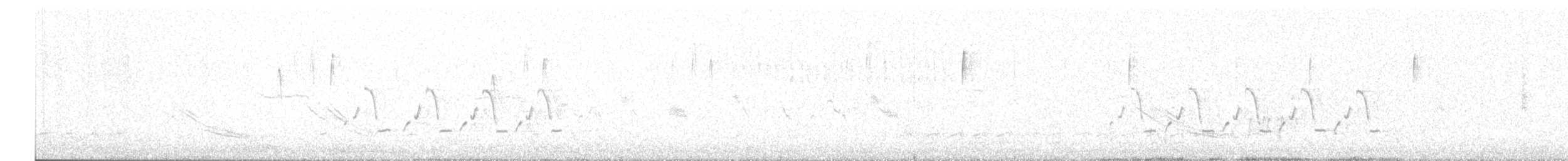 Carolina Wren - ML631950525