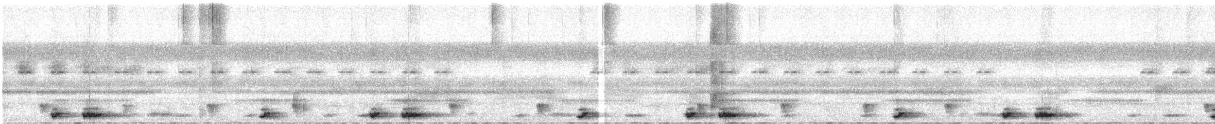 Oriental Scops-Owl - ML631953441