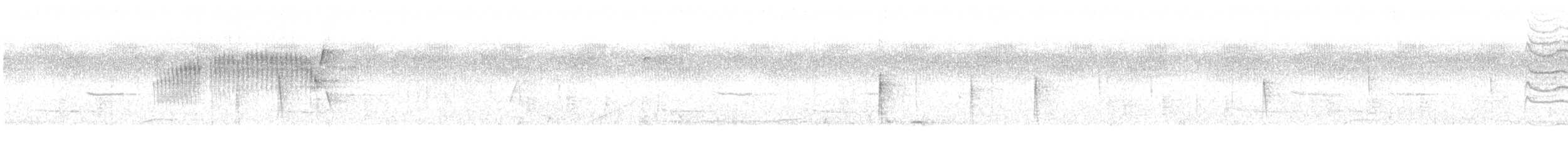 Northern Parula - ML631953539
