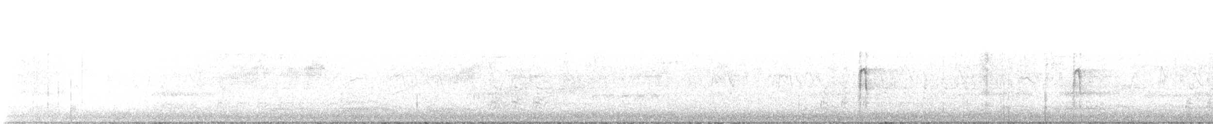 Hairy Woodpecker - ML631957545