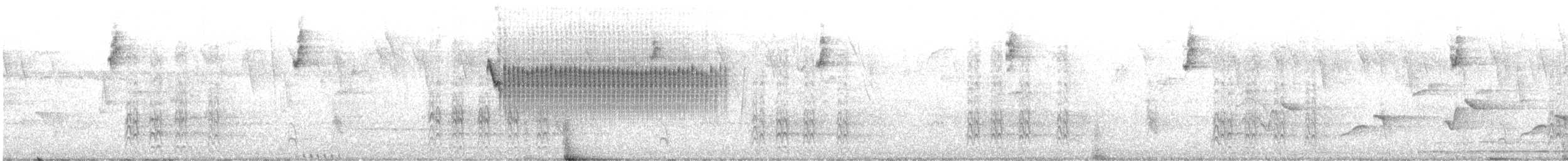 hvitsideblomsterborer - ML631961754