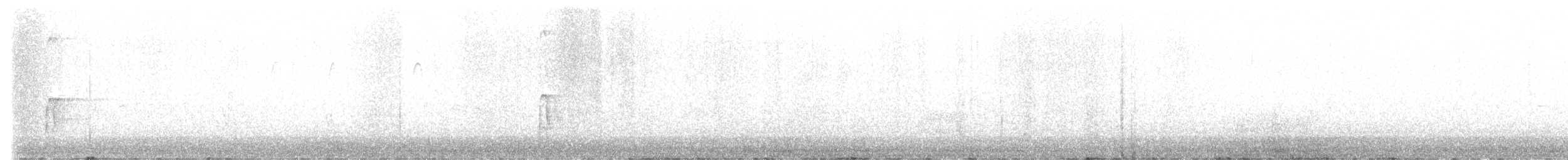 Hairy Woodpecker - ML631965404