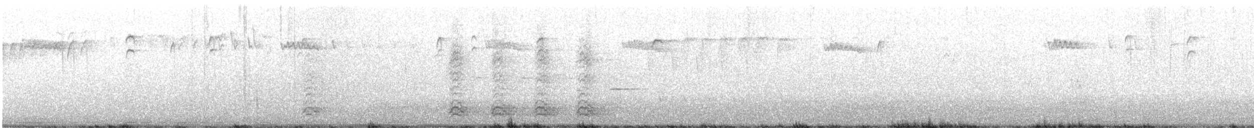 American Crow - ML631972690