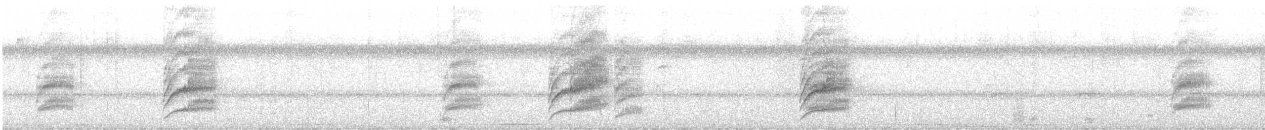 Tyran licteur - ML631979458