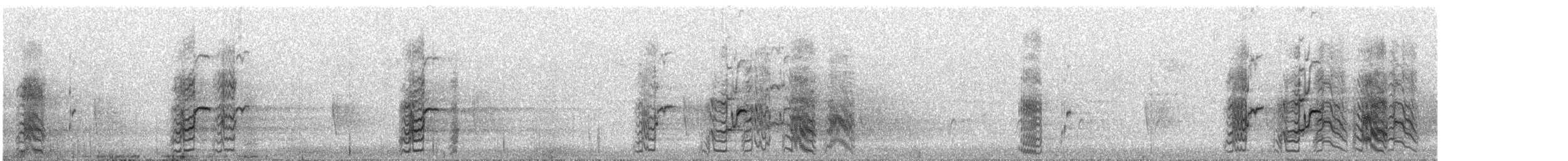 Синешапочный амазон - ML631979482