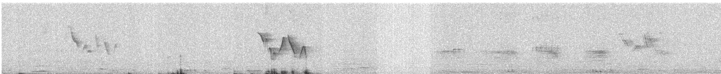 Rock Pigeon (Feral Pigeon) - ML631982620