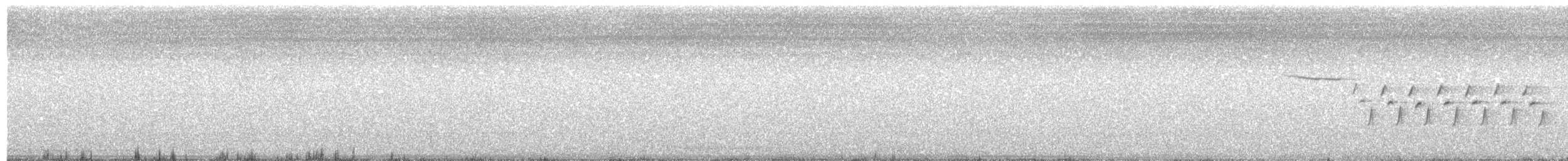 Bachman's Sparrow - ML63198291