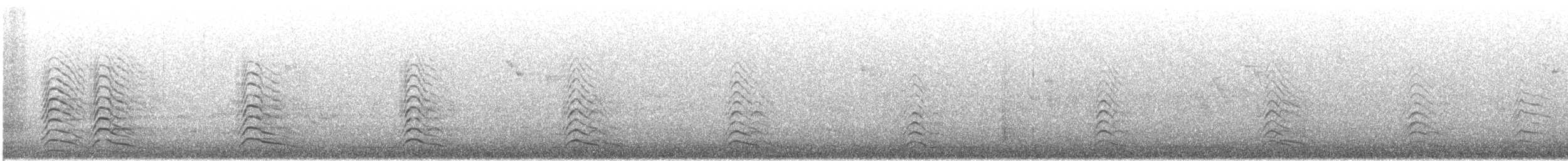 Black-tailed Gull - ML631983785