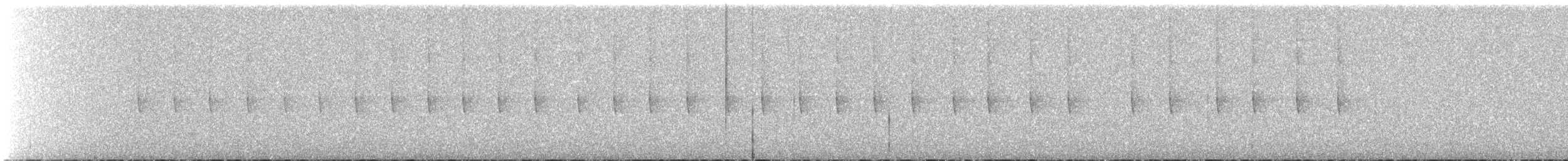 White-eared Hummingbird - ML631987441