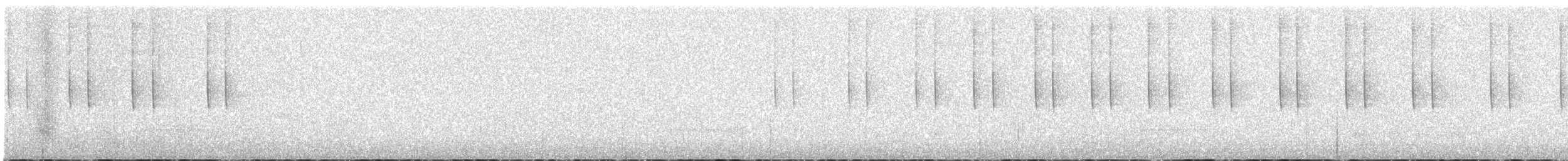 White-eared Hummingbird - ML631987917