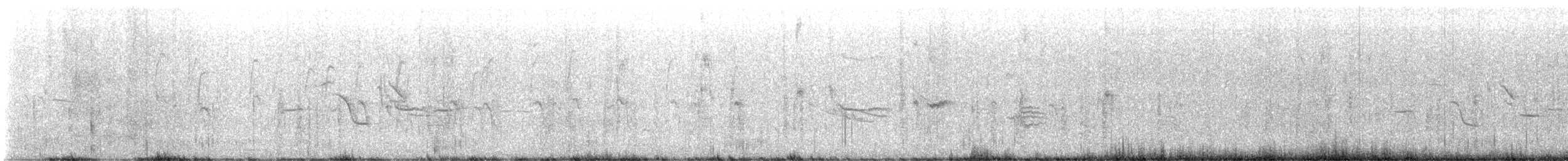 Brewer's Blackbird - ML631989000