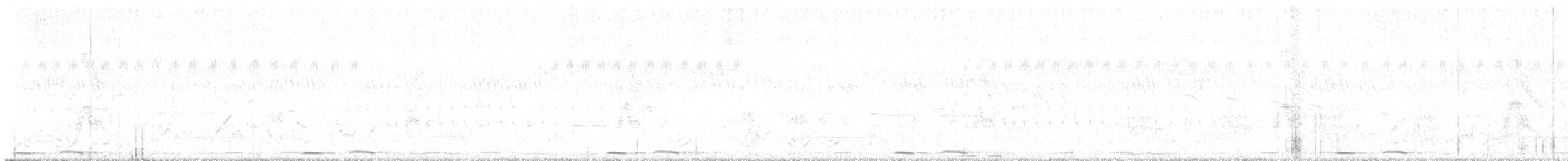 African Cuckoo - ML631993342