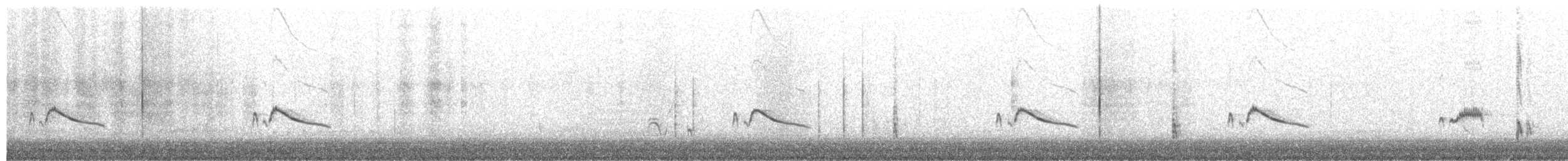 Say's Phoebe - ML631997290