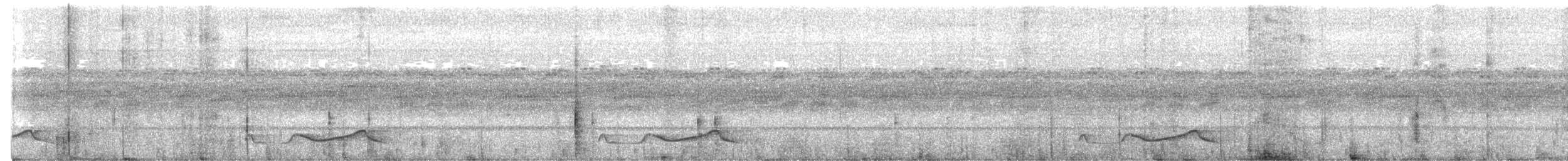 Yucatan Nightjar - ML631997798