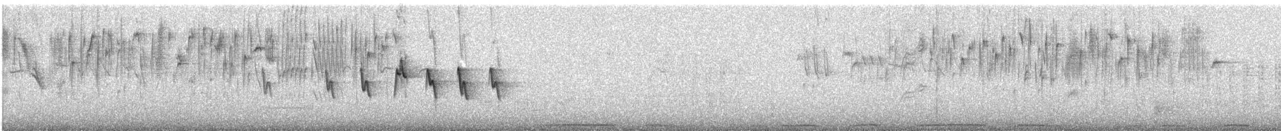 Iberian Chiffchaff - ML631999504