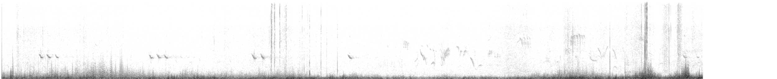 bělořit plavý - ML632000081