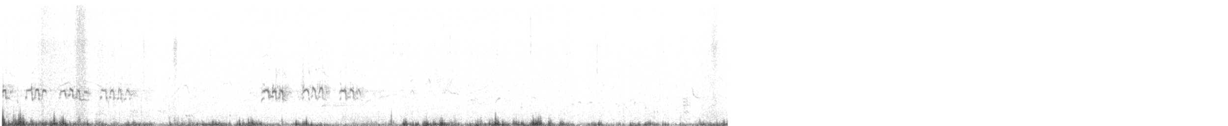 bělořit plavý - ML632000084