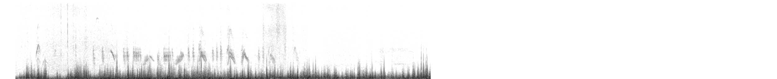 bělořit plavý - ML632000103