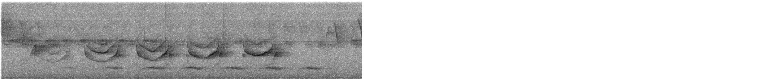 Band-tailed Antwren - ML632001788