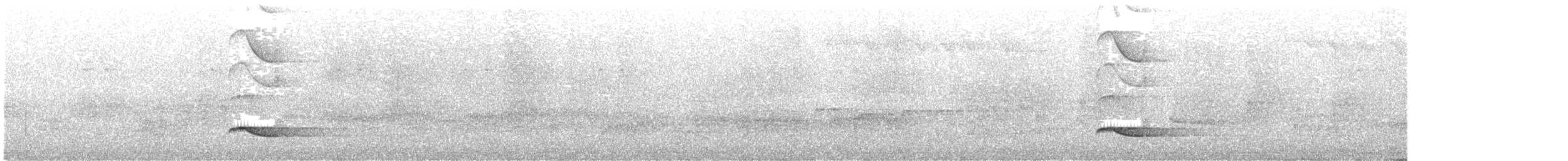 シロボシショウビン - ML632002338