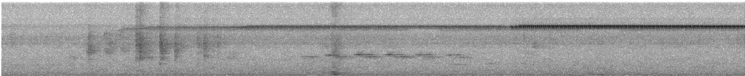 Willis's Antbird - ML632007902