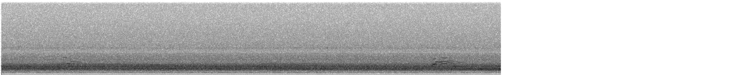 שחף עקוד-מקור - ML632010099