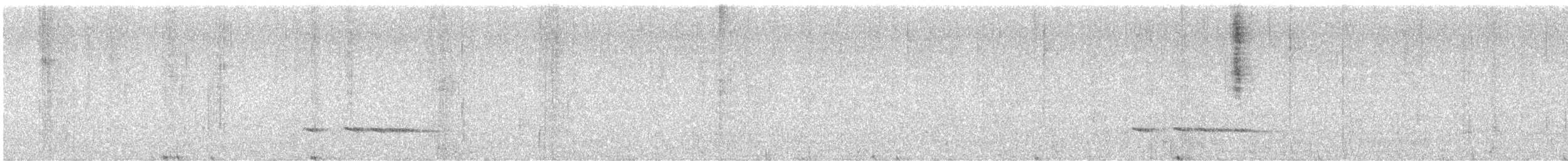 Equatorial Antpitta - ML632011277
