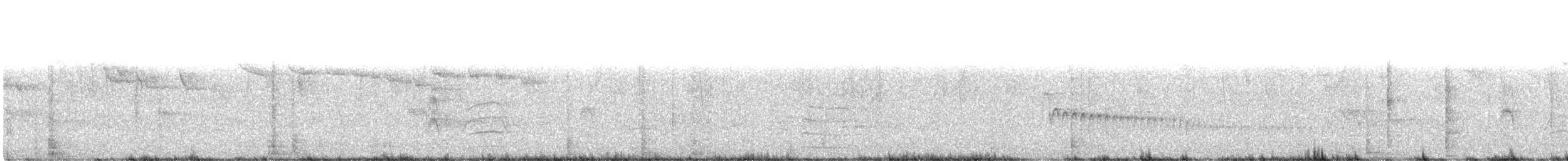 Great-tailed Grackle - ML632013091