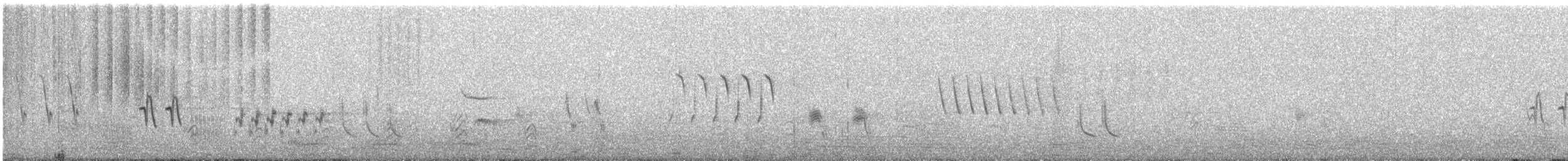 Chingolo Arlequín - ML63201501