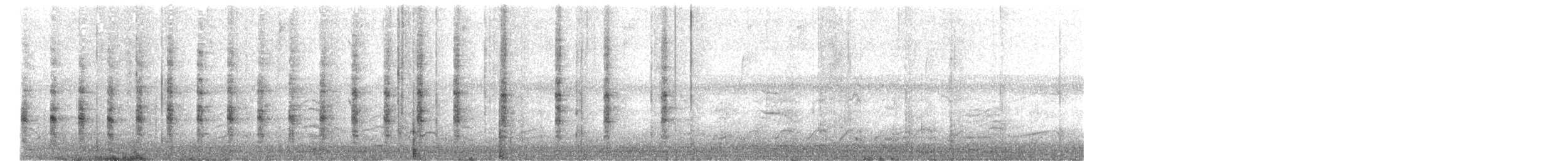 Râle élégant - ML632019886