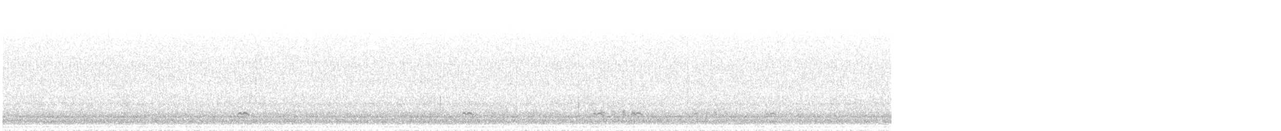 Codone - ML632024021