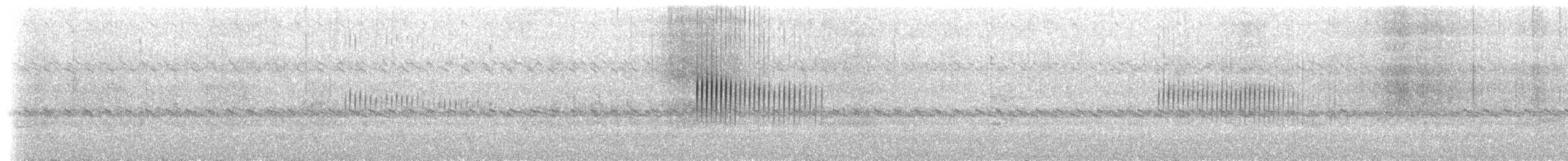Chotacabras Pantanero - ML632024204