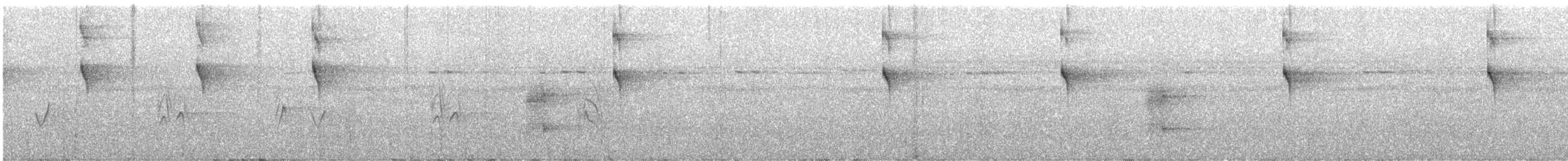 Painted Tody-Flycatcher - ML632026048