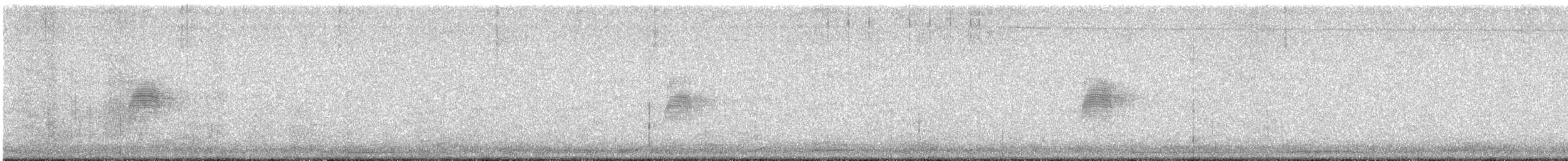 American Woodcock - ML632026333