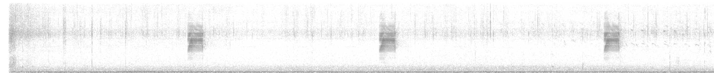 American Woodcock - ML632026411