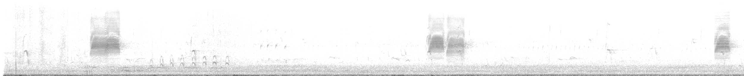 American Woodcock - ML632029705
