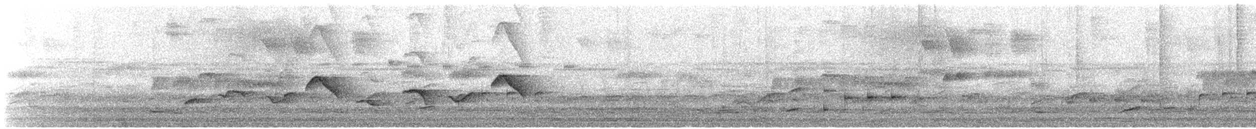 Puerto Rican Oriole - ML632030999