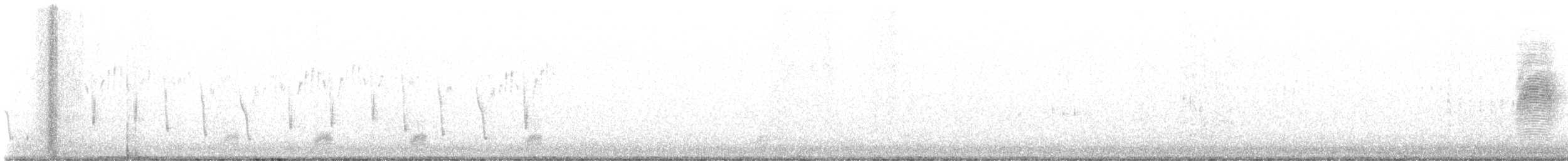 American Woodcock - ML632032532